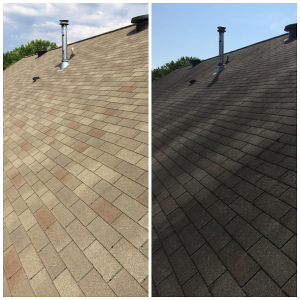Renewing the Look of your Roof