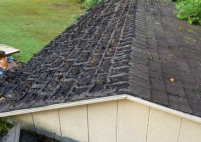 Roof in need of replacement